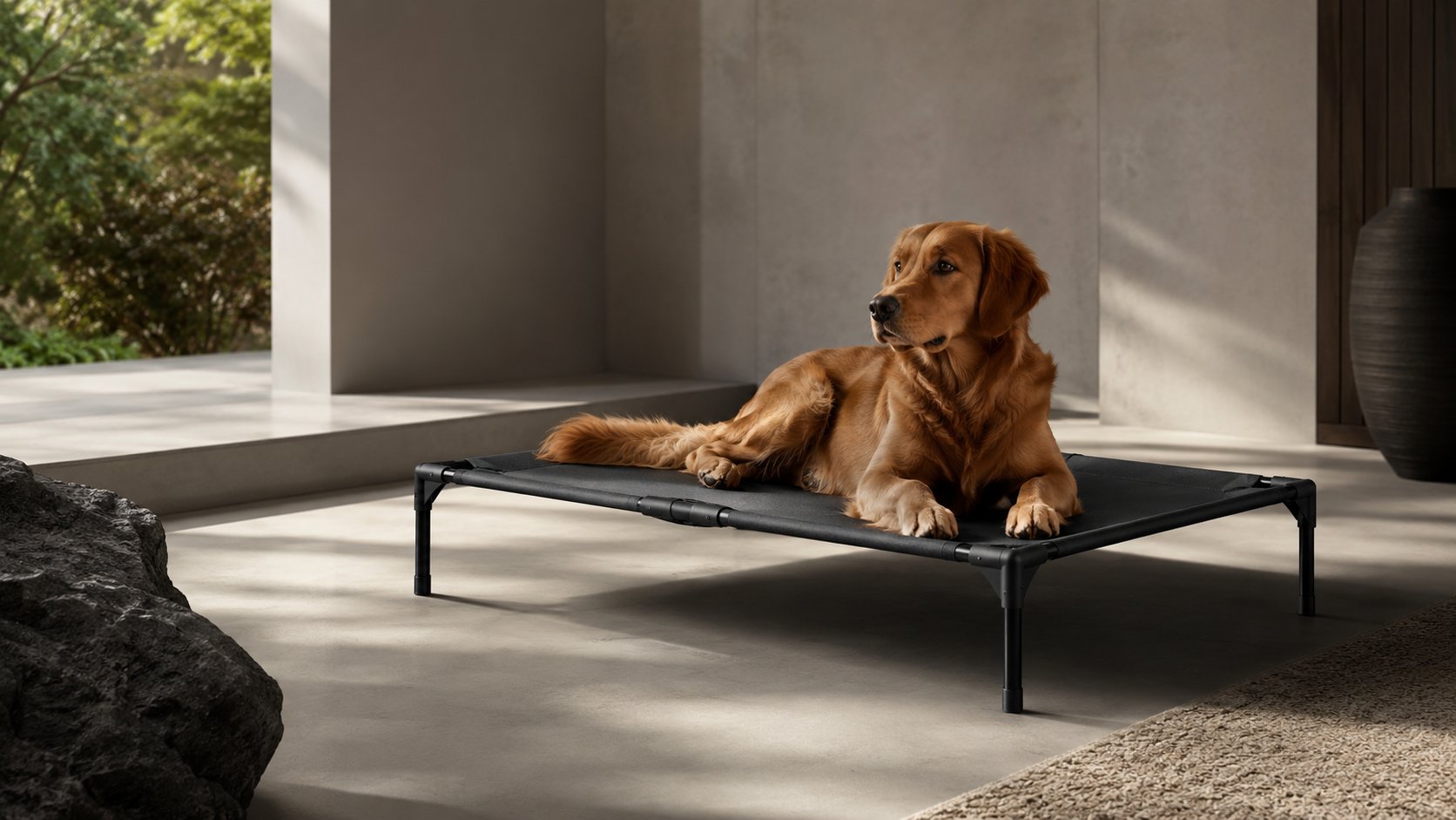 Elevated Dog Beds