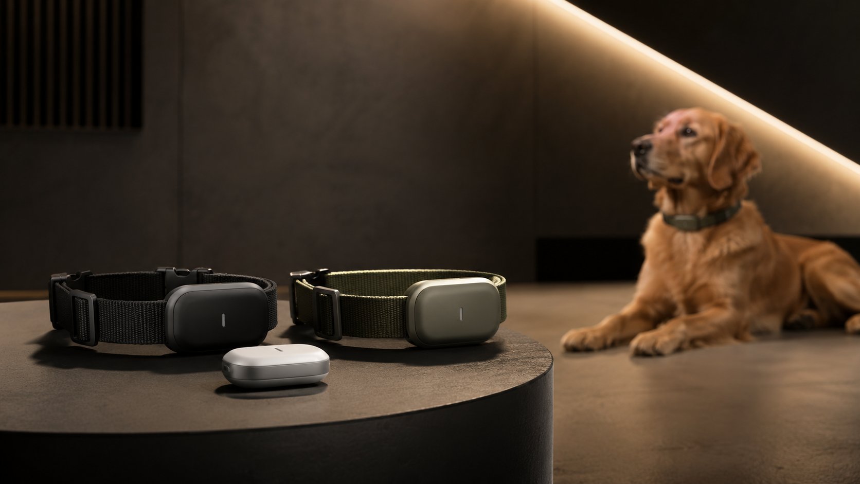 GPS Pet Trackers