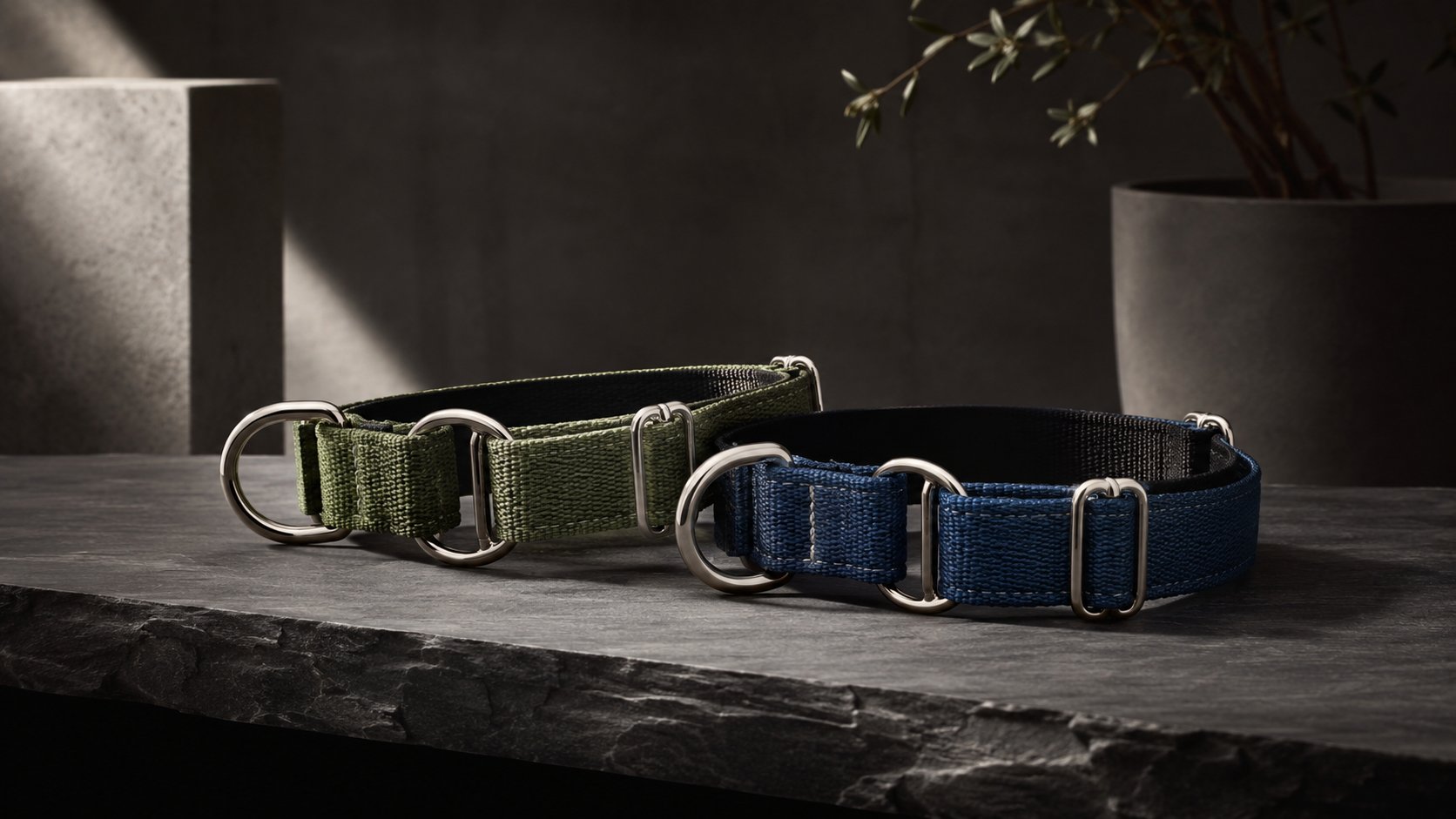 Martingale Dog Collars