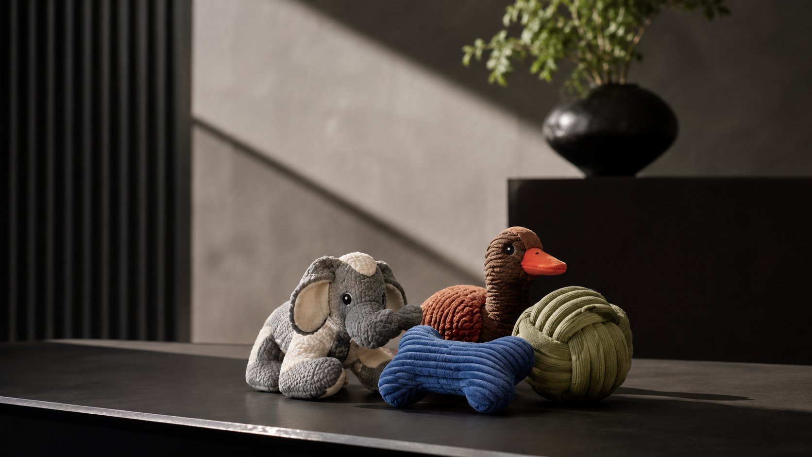 Squeaky Dog Toys