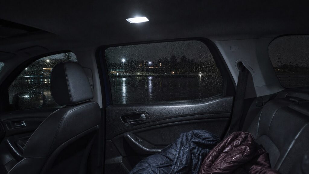 dome light leds shopping setup for weather and road conditions with practical vehicle-focused details