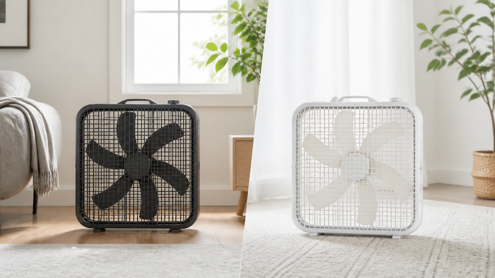 Box Fans